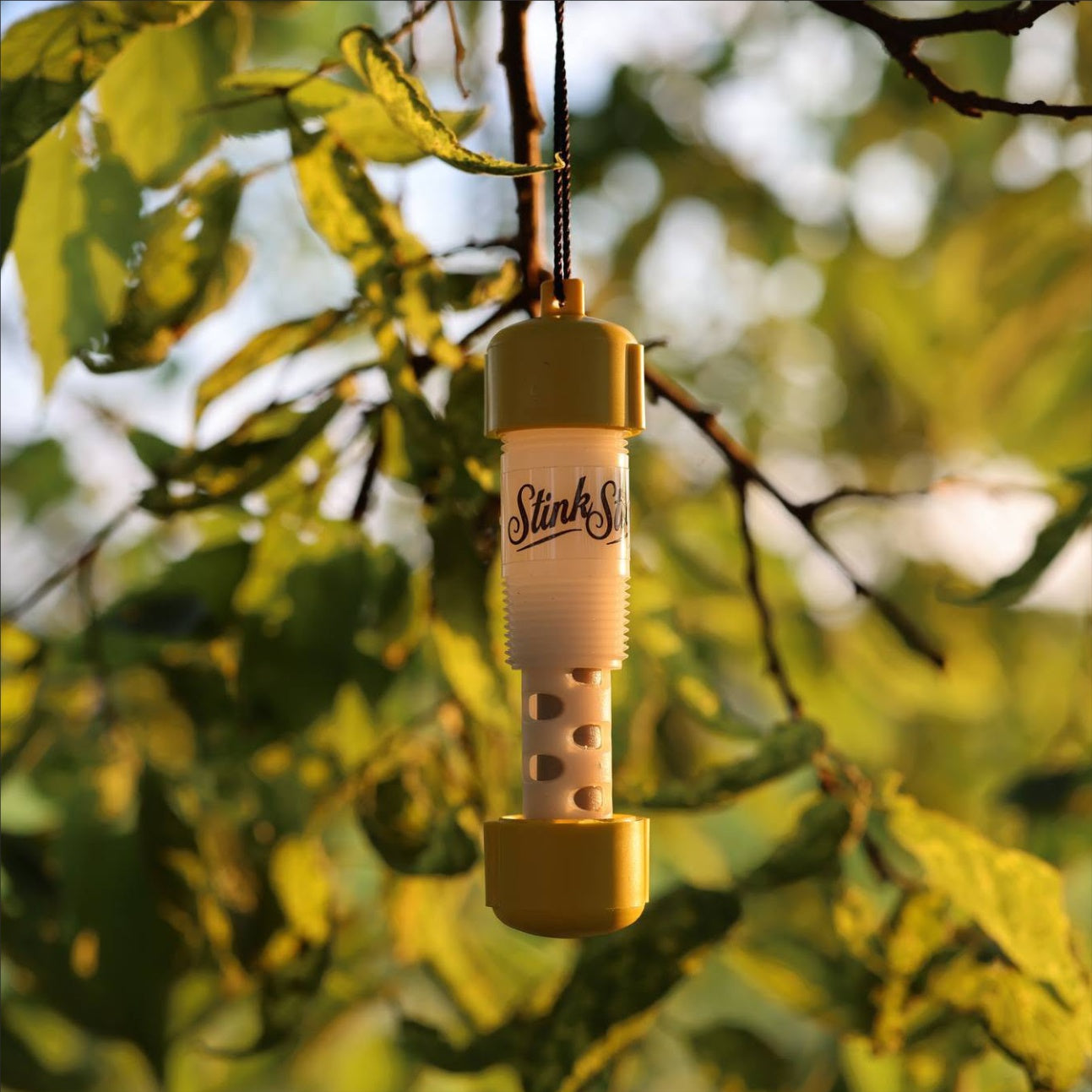 SCENT DISPERSAL