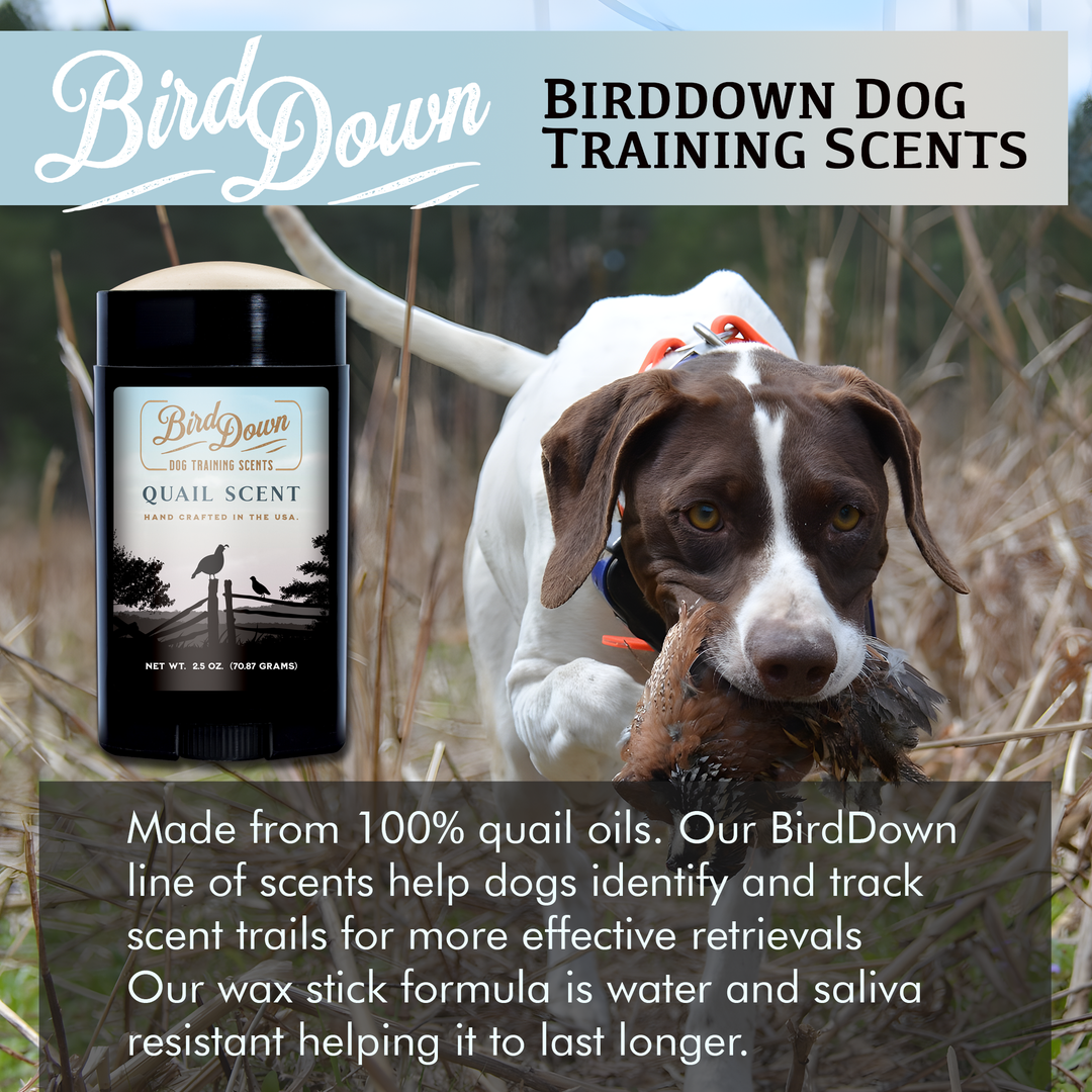 BirdDown Quail Scent Stick