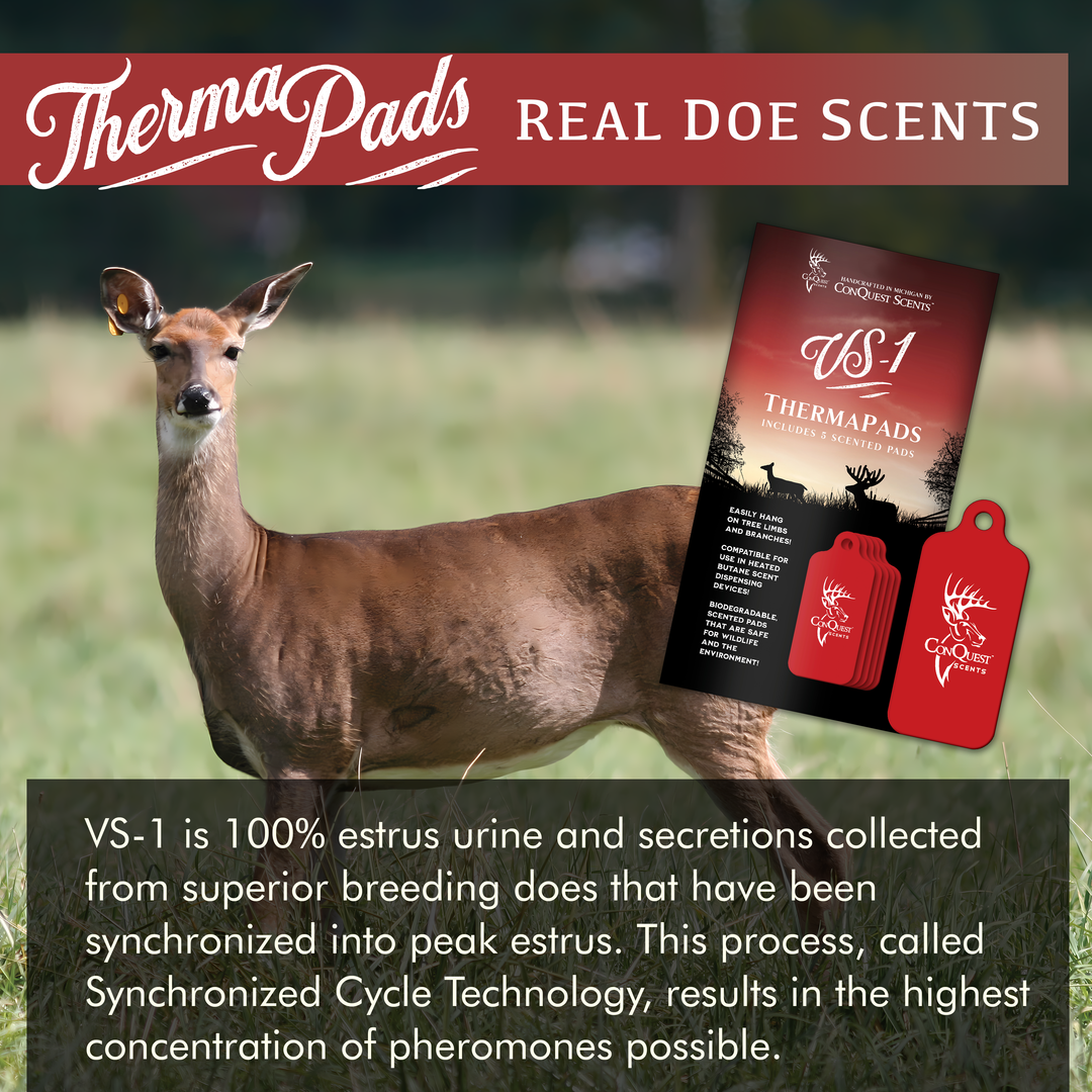 VS-1 ThermaPads - 5 Pack