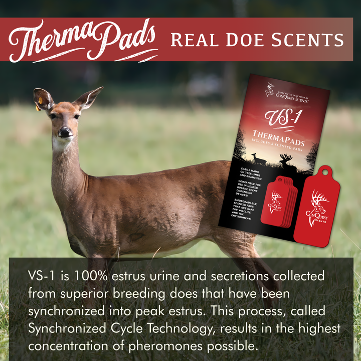 VS-1 ThermaPads - 5 Pack