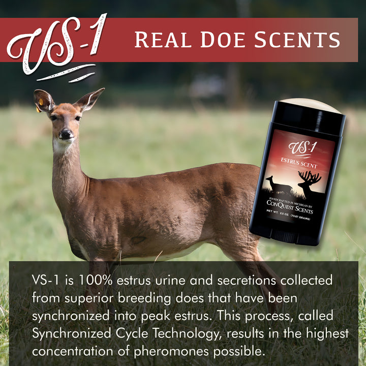 VS-1 SCENT STICK