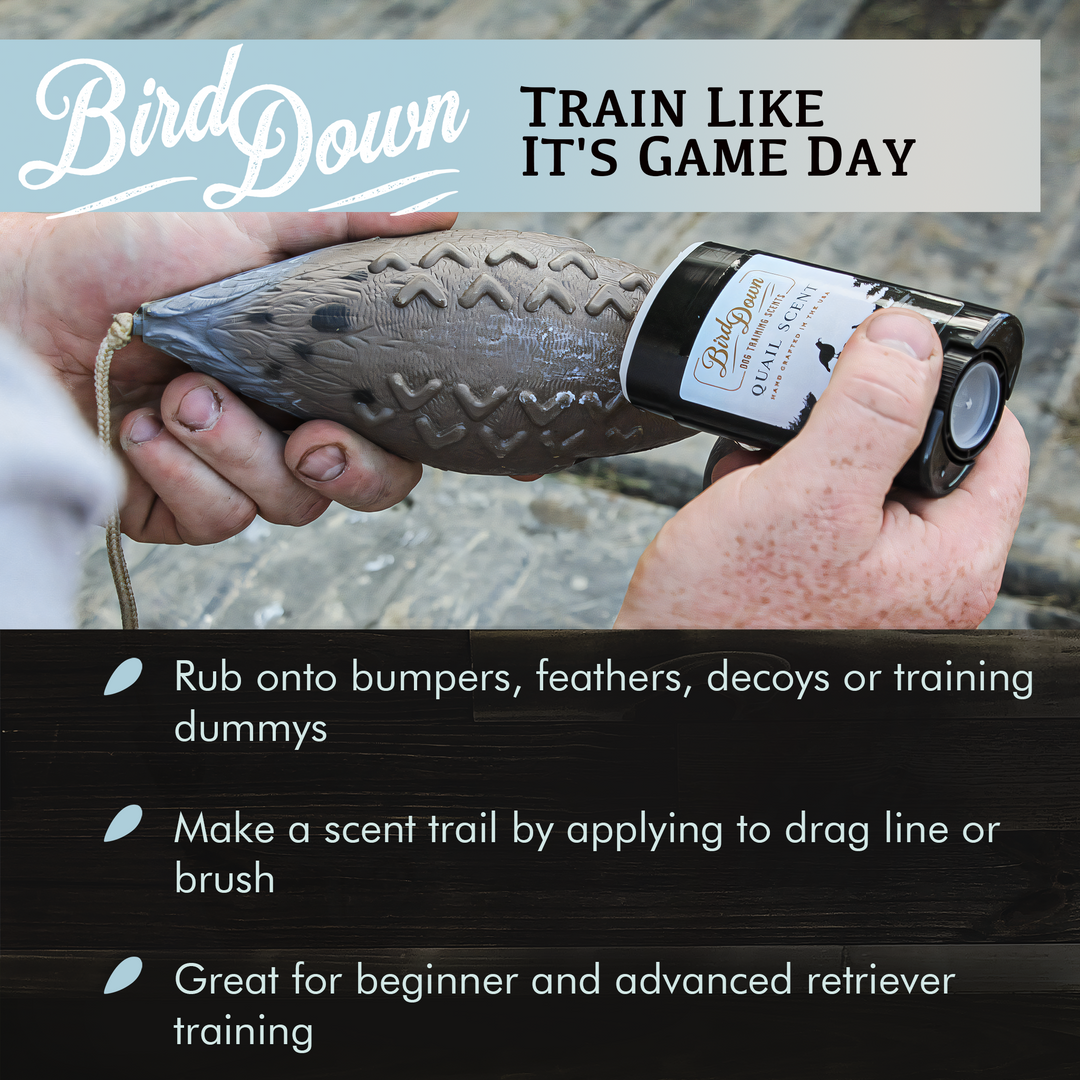 BirdDown Quail Scent Stick