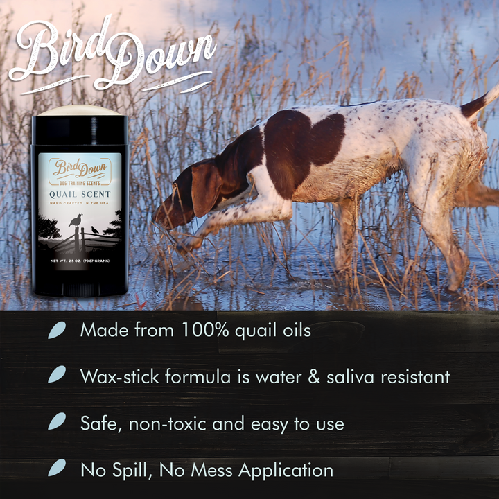 BirdDown Quail Scent Stick