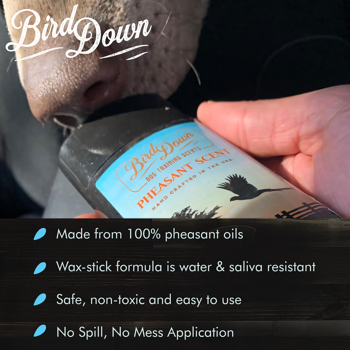 BirdDown Pheasant Scent Stick