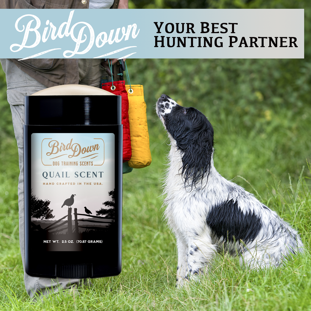 BirdDown Quail Scent Stick