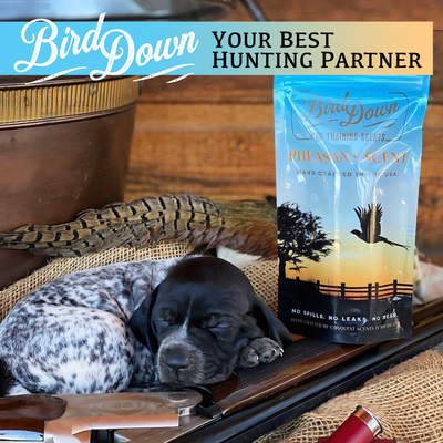 BirdDown Pheasant Scent Stick