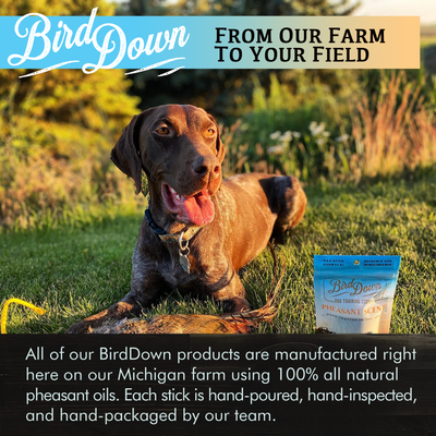 BirdDown Pheasant Scent Stick