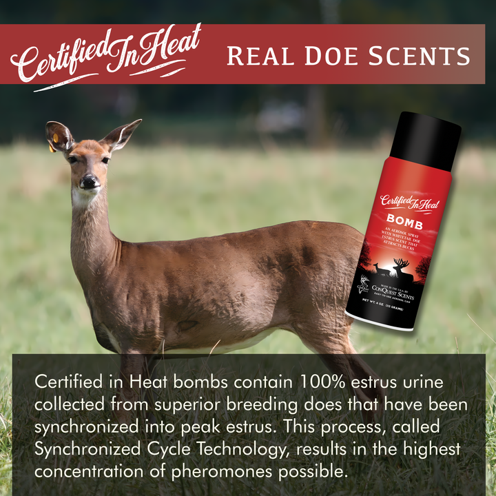 Certified In Heat Bomb - 4 oz