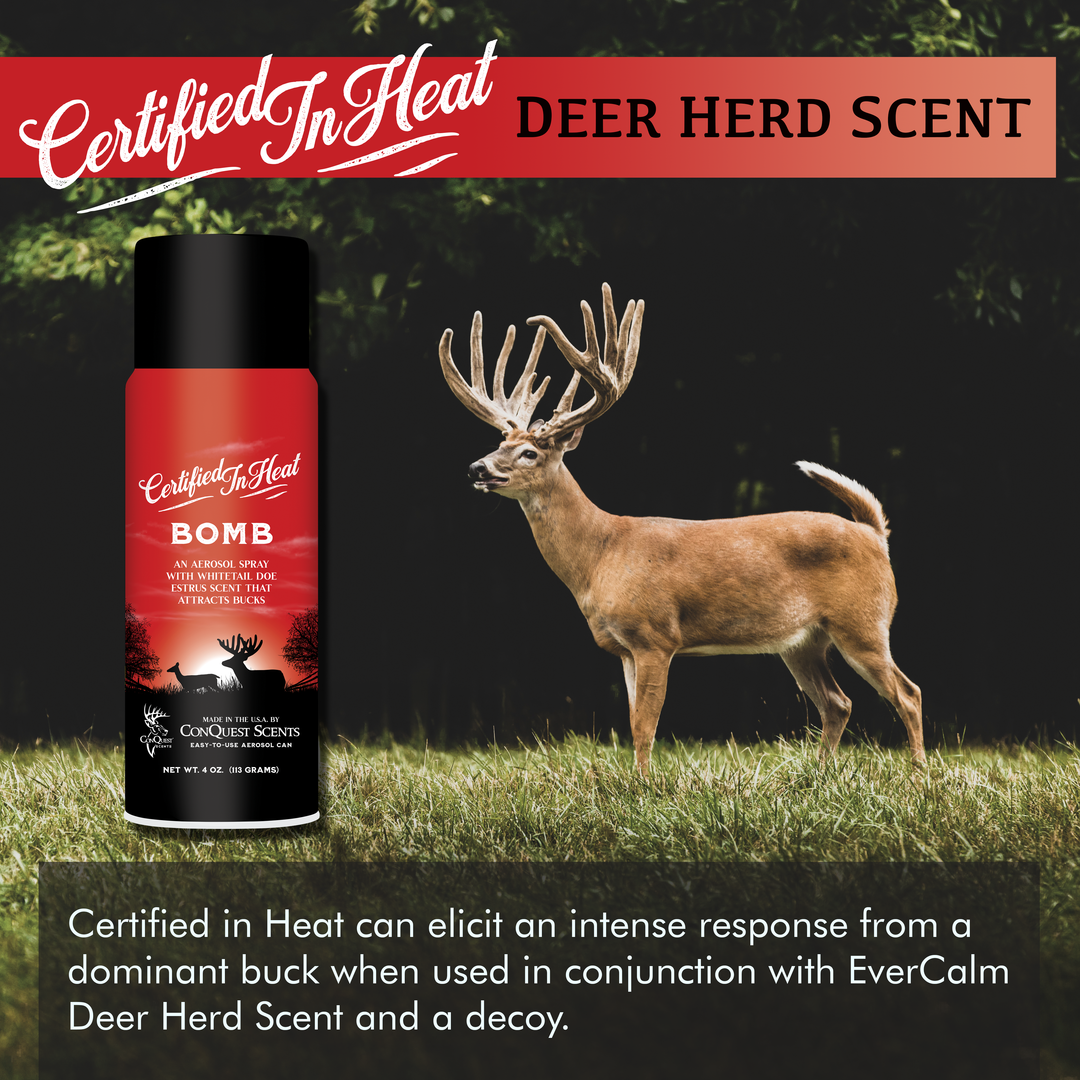 Certified In Heat Bomb - 4 oz