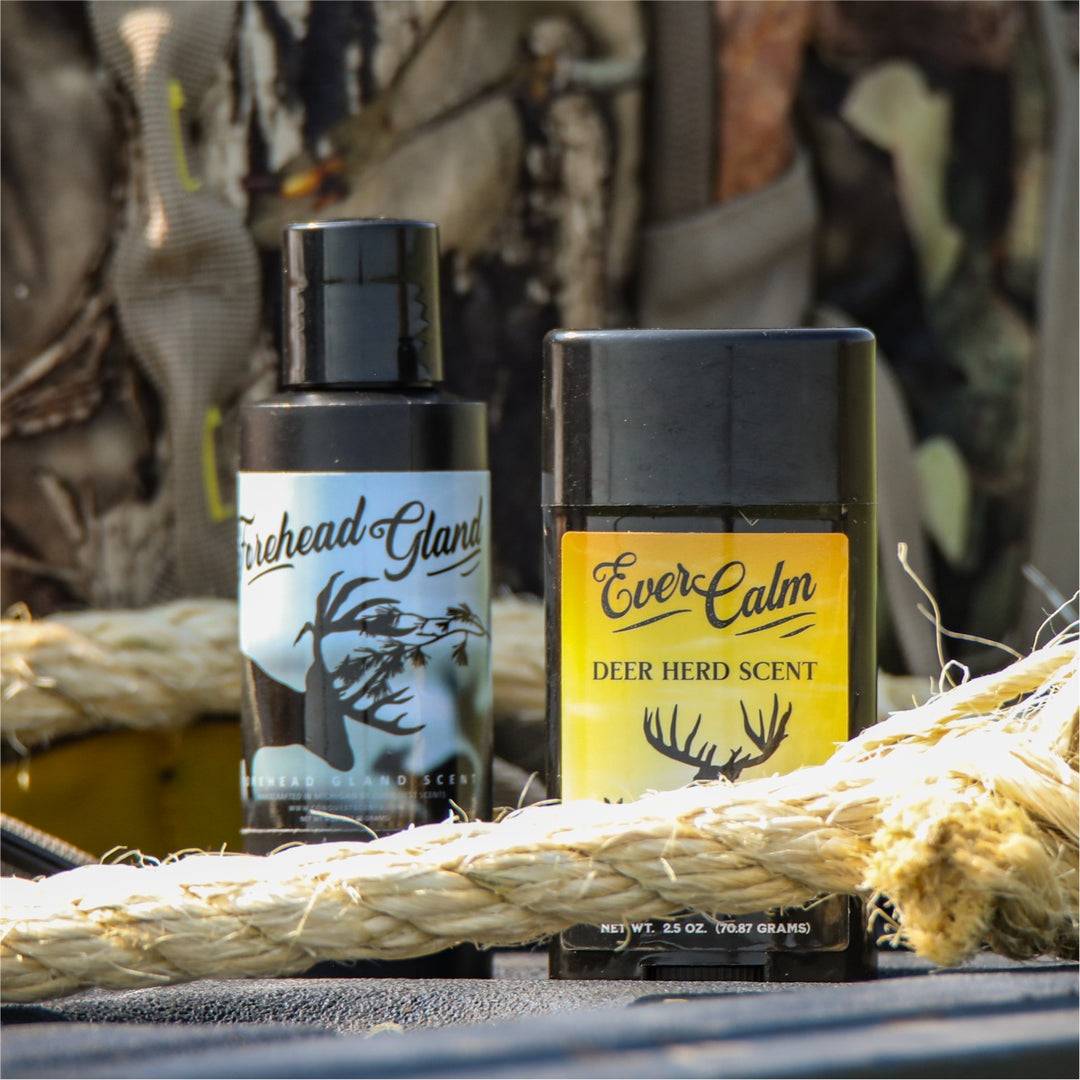 Forehead Gland Scent