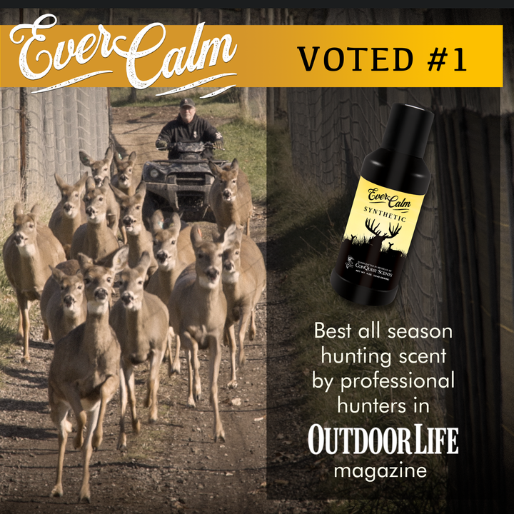 SYNTHETIC EverCalm Liquid