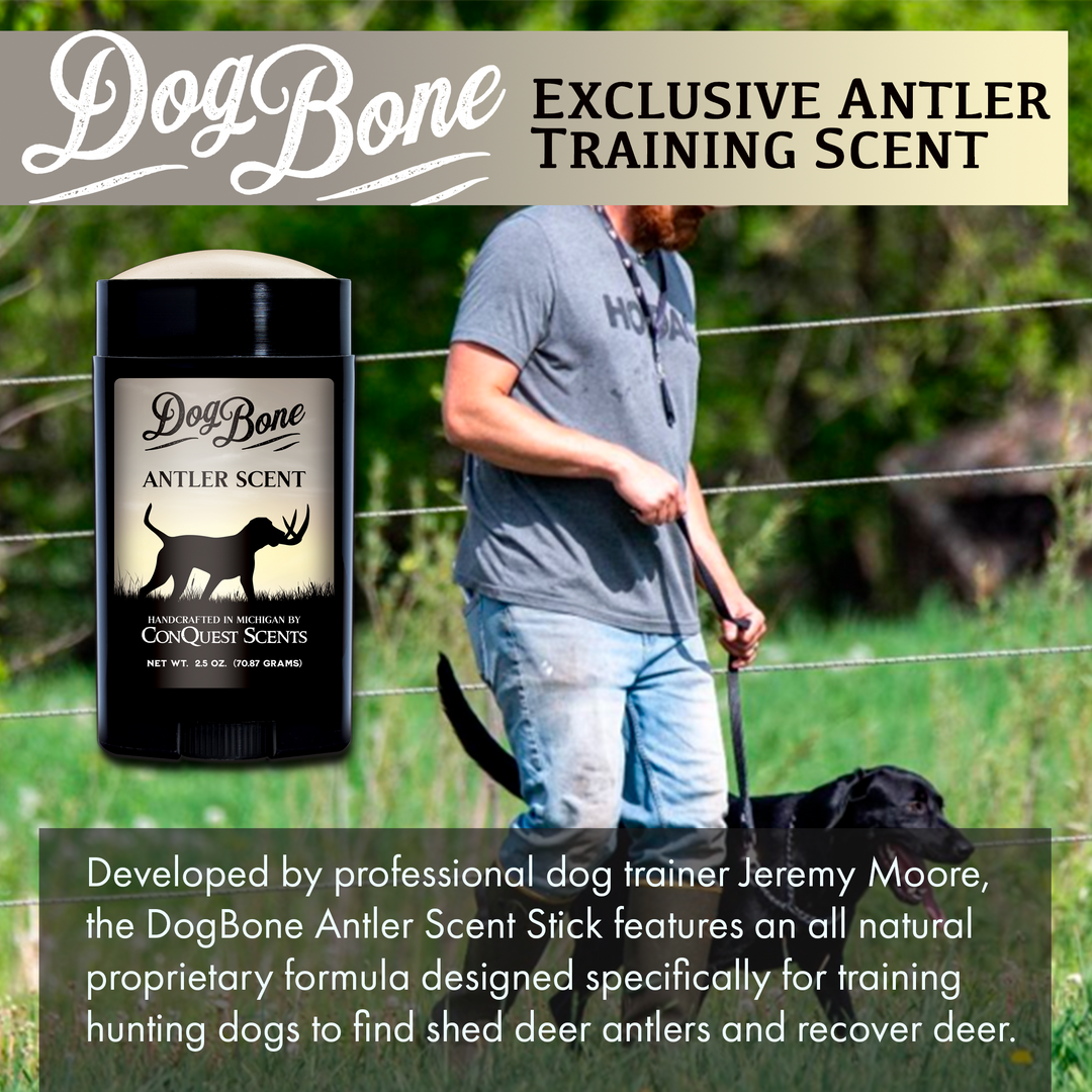 DogBone Antler Scent Stick