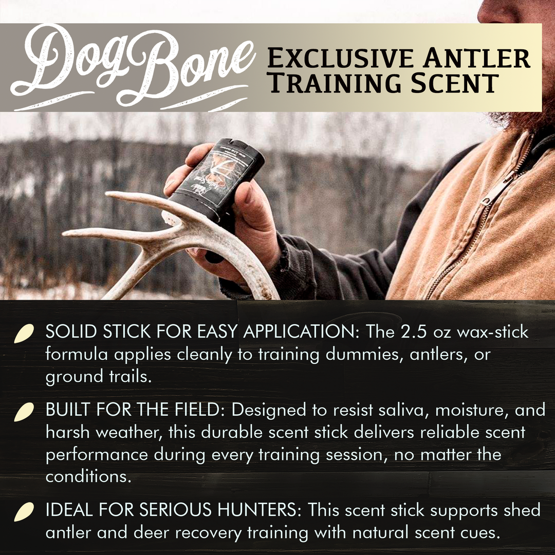 DogBone Antler Scent Stick