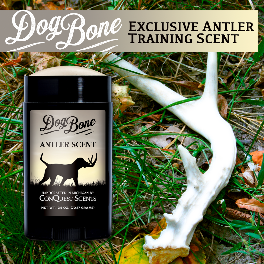 DogBone Antler Scent Stick