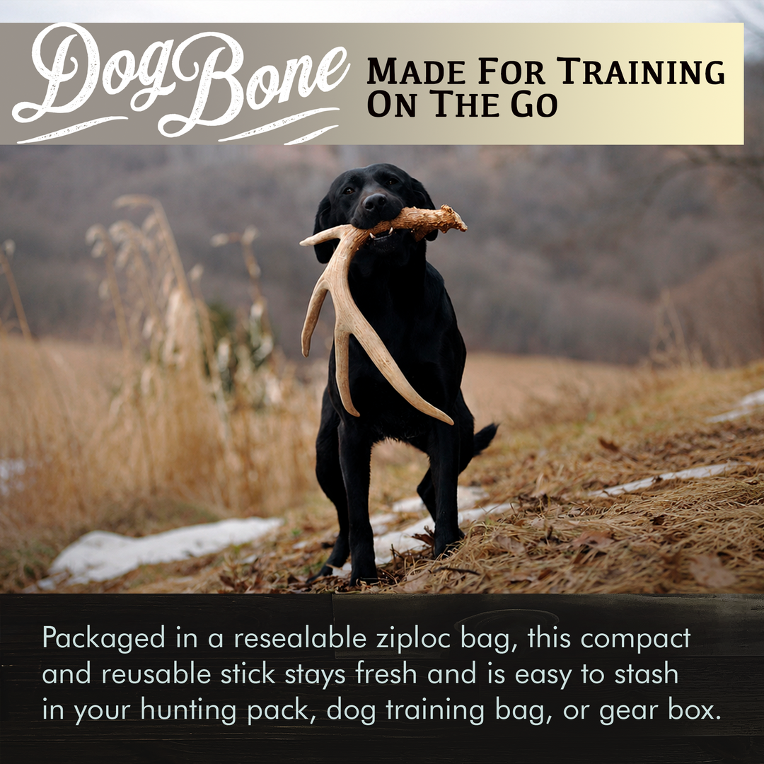 DogBone Antler Scent Stick