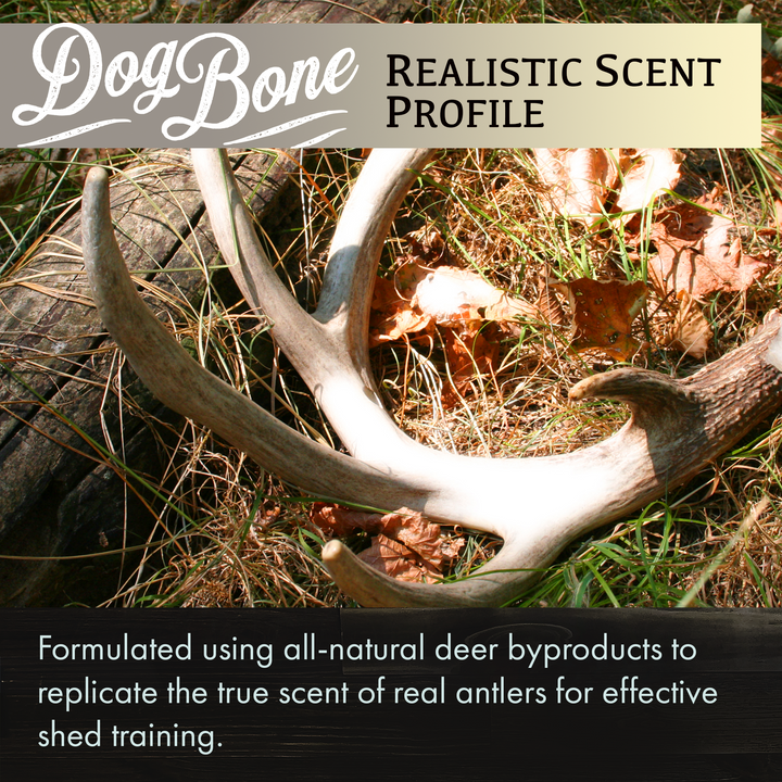 DogBone Antler Scent Stick