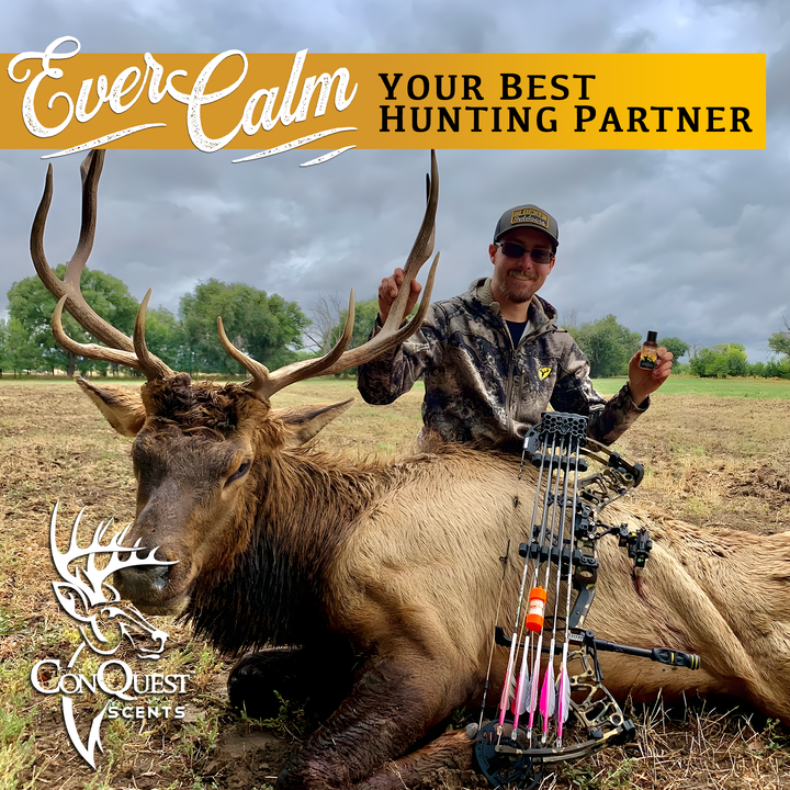 EverCalm Elk Herd Liquid