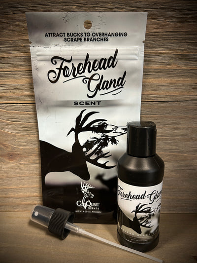 Forehead Gland Scent