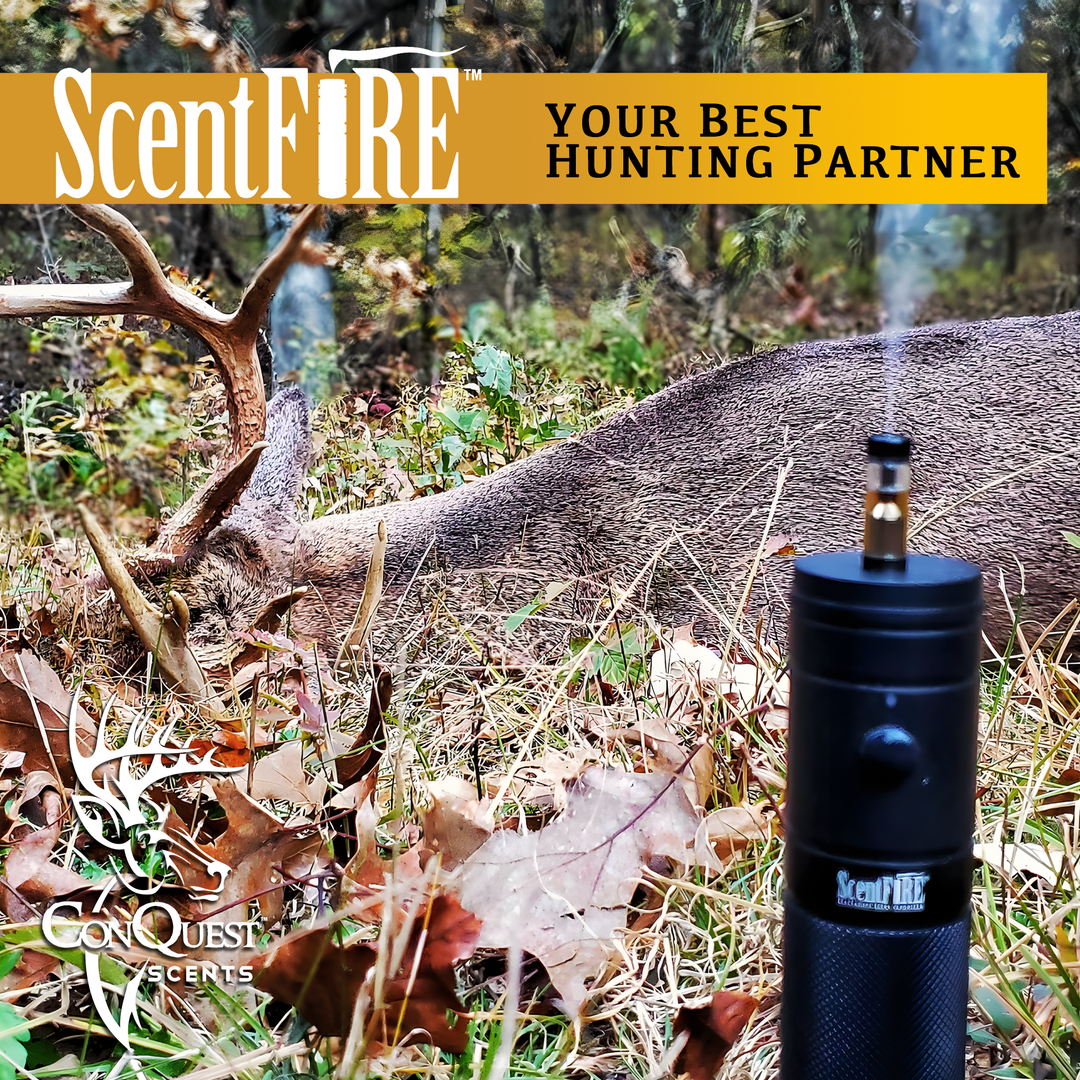 ScentFire Cartridges - EverCalm