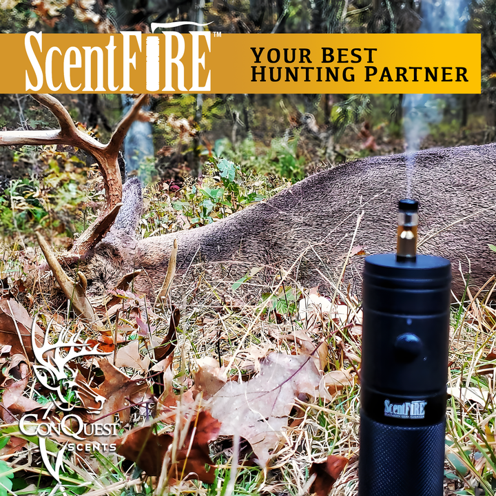 ScentFire Cartridges - EverCalm