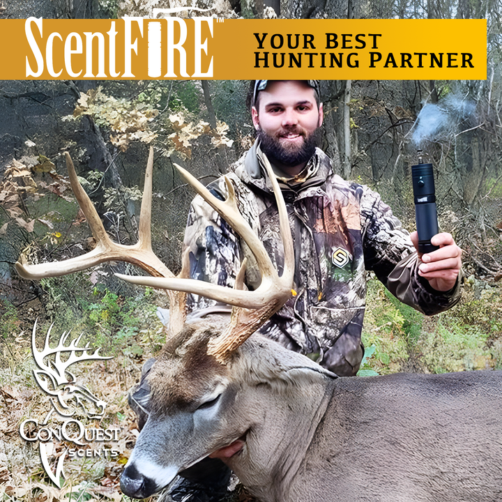 ScentFire Cartridges - EverCalm