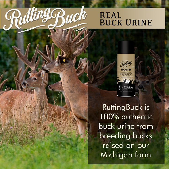 RuttingBomb - 3.5 oz