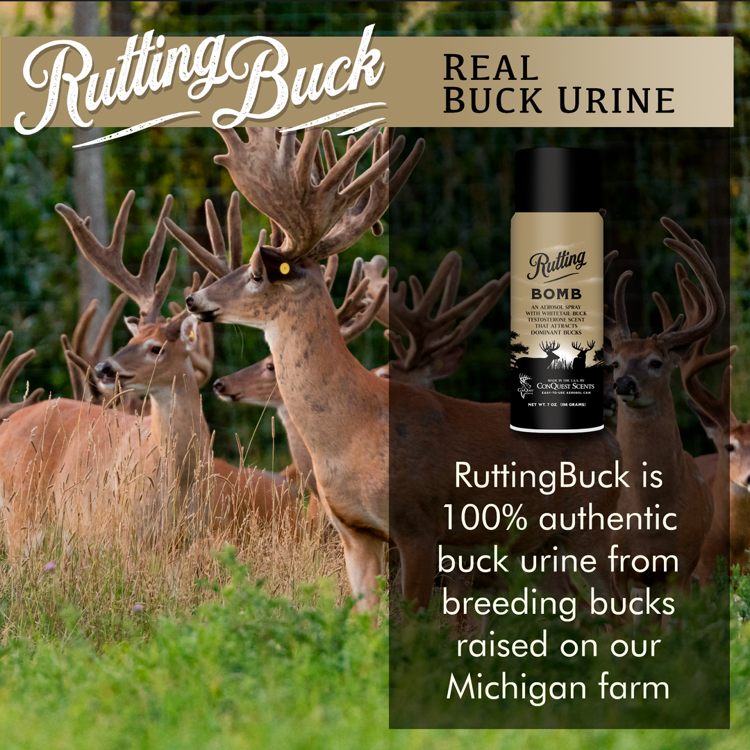 RuttingBomb - 7 oz