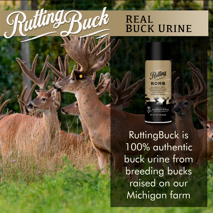 RuttingBomb - 7 oz