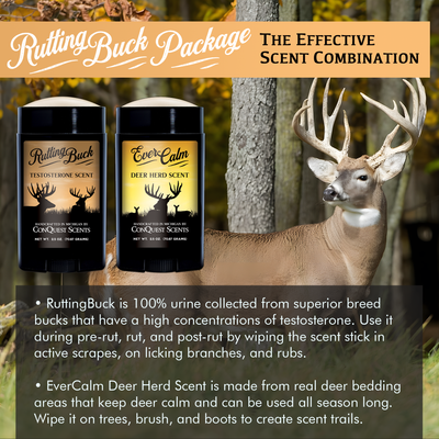 RuttingBuck Package