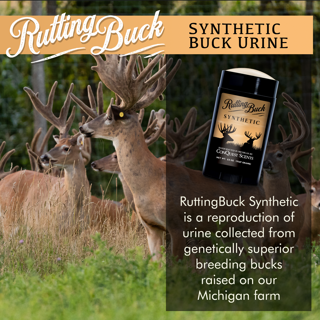 SYNTHETIC RuttingBuck Scent Stick
