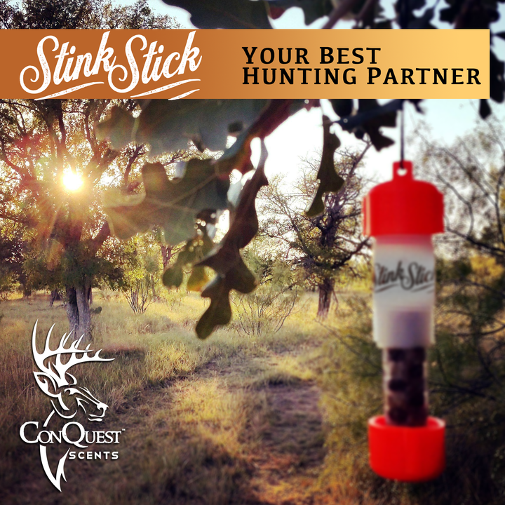 Stink Stick - Orange