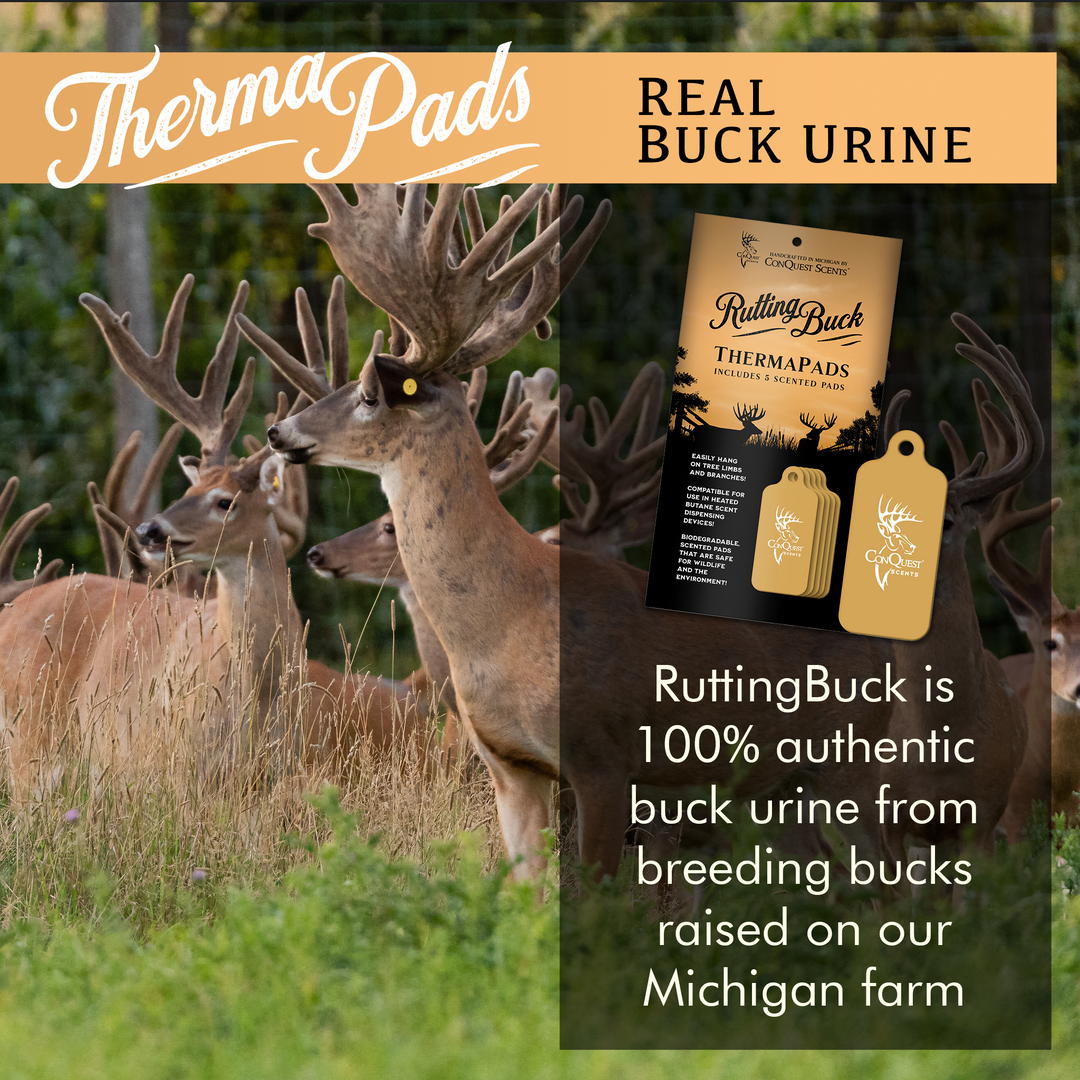 RuttingBuck ThermaPads - 5 Pack
