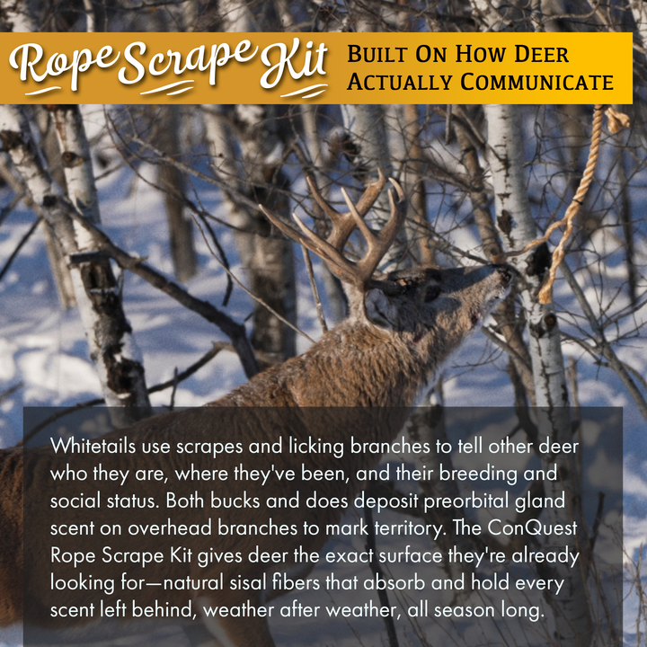 Rope Scrape Kit