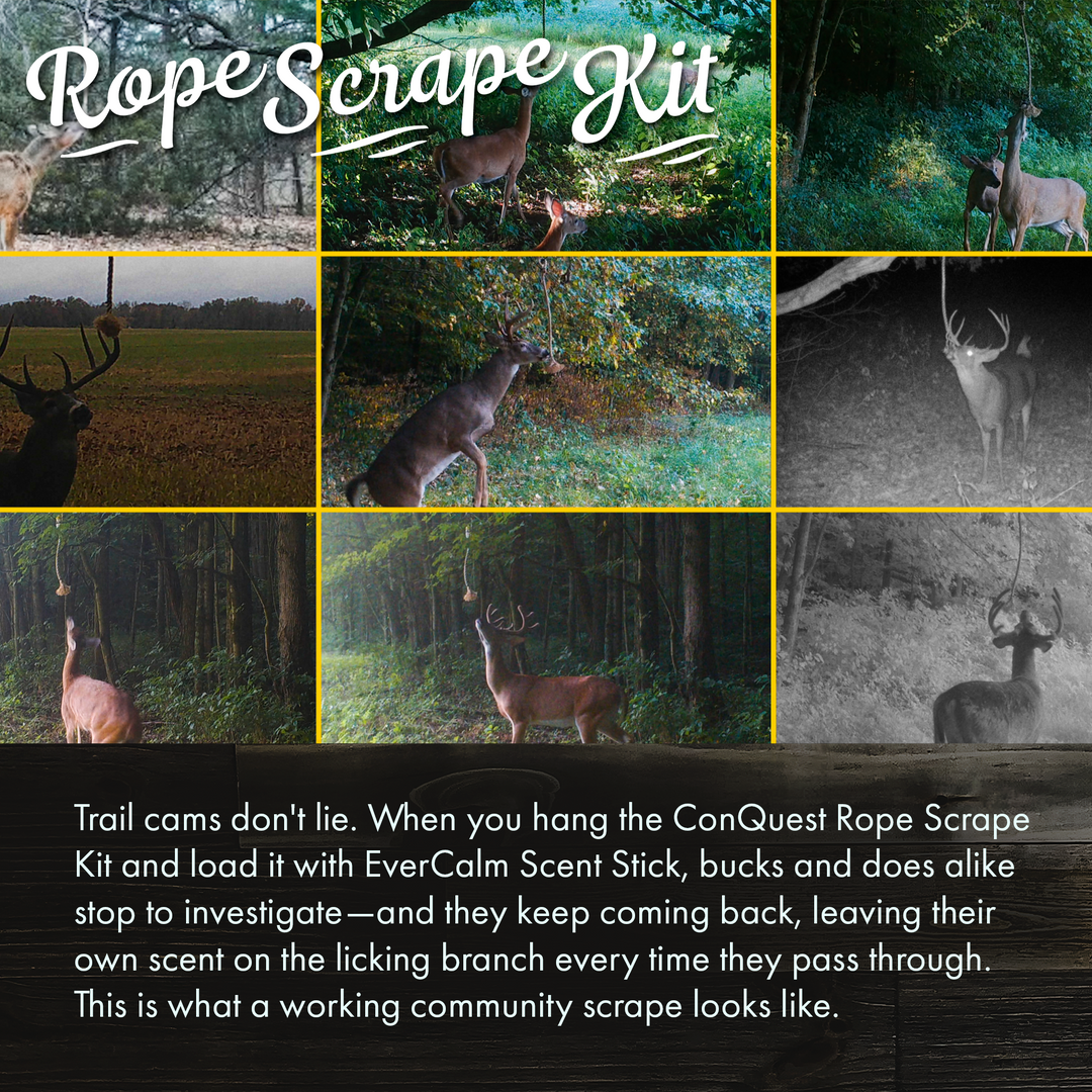 Rope Scrape Kit